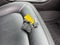 2022 GMC Canyon AT4 - Leather