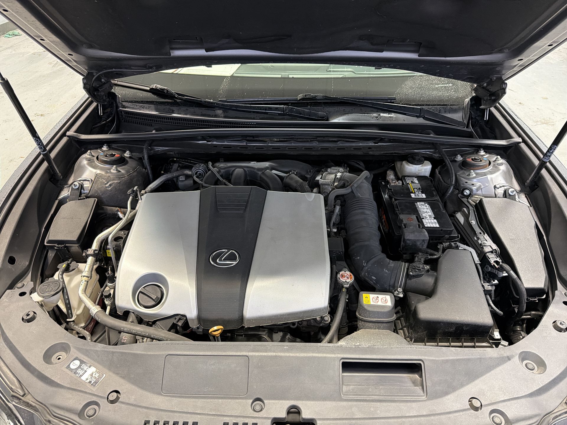 2019 Lexus ES 350 Ultra Luxury